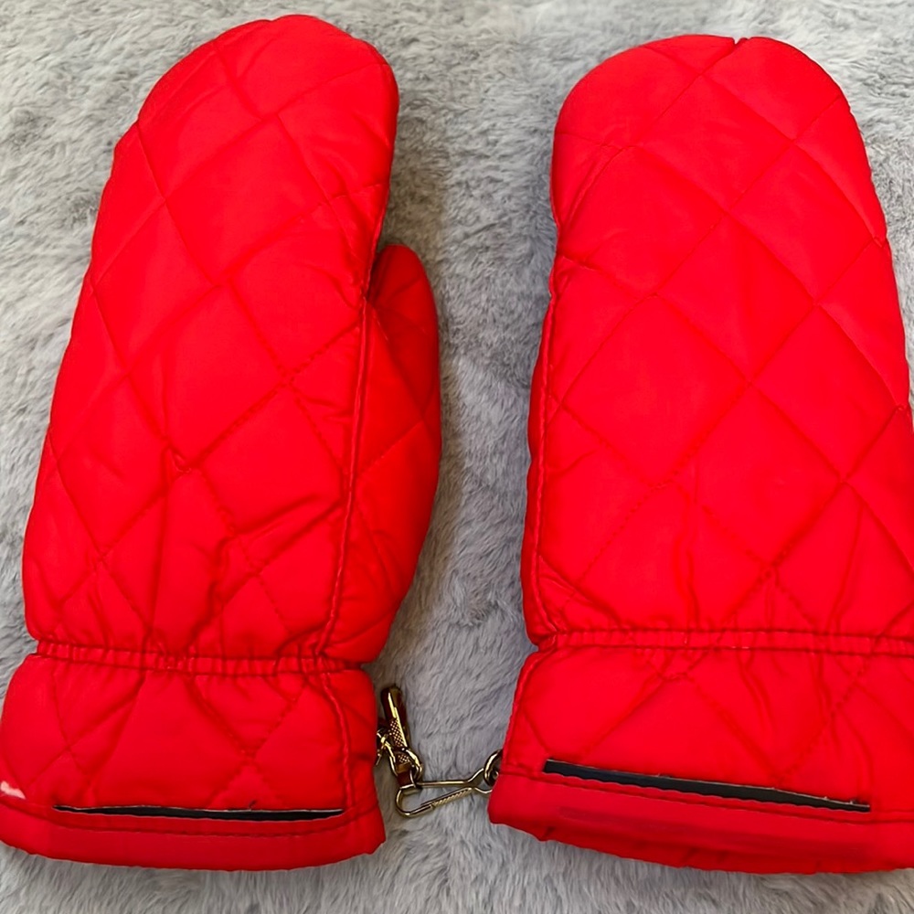 Vintage ski mittens